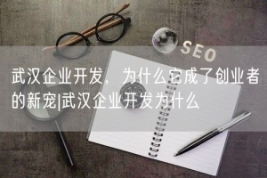 武汉企业开发，为什么它成了创业者的新宠|武汉企业开发为什么